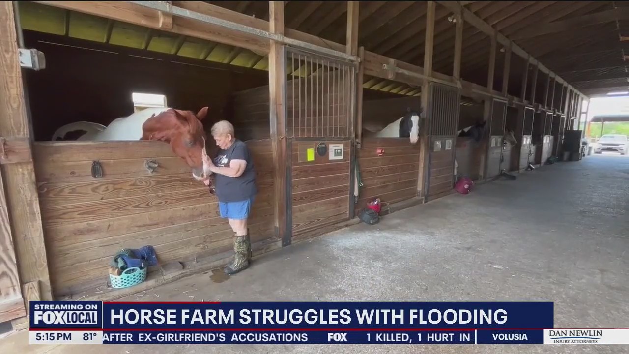 Harmony Farms hit hard by flooding