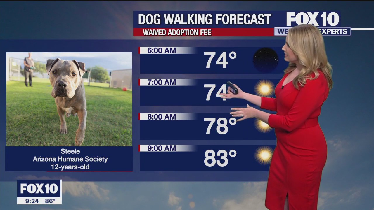 Evening Weather Forecast - 10/15/23