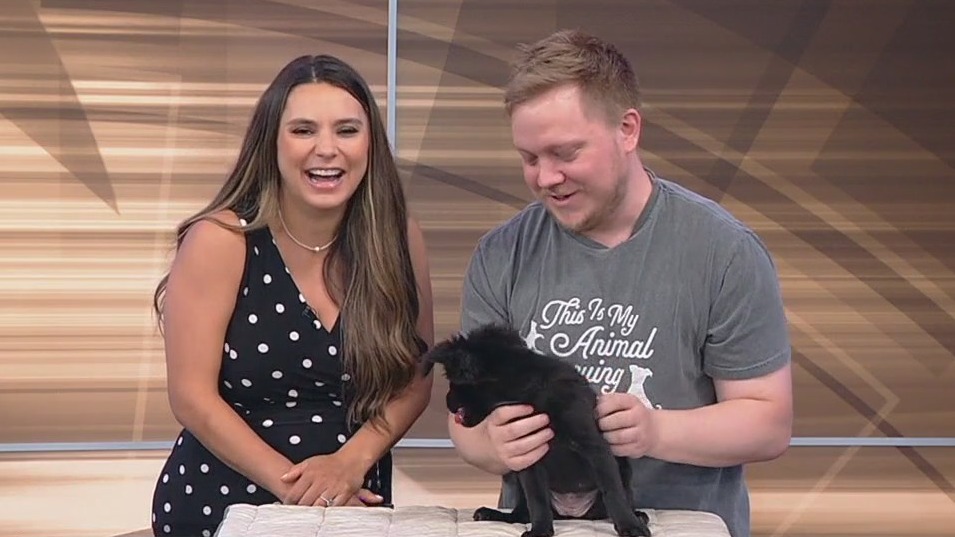 Meet Caviar: Our Pet of the Day