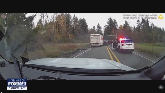 VIDEO: Suspect arrested after grocery store stabbing, police pursuit