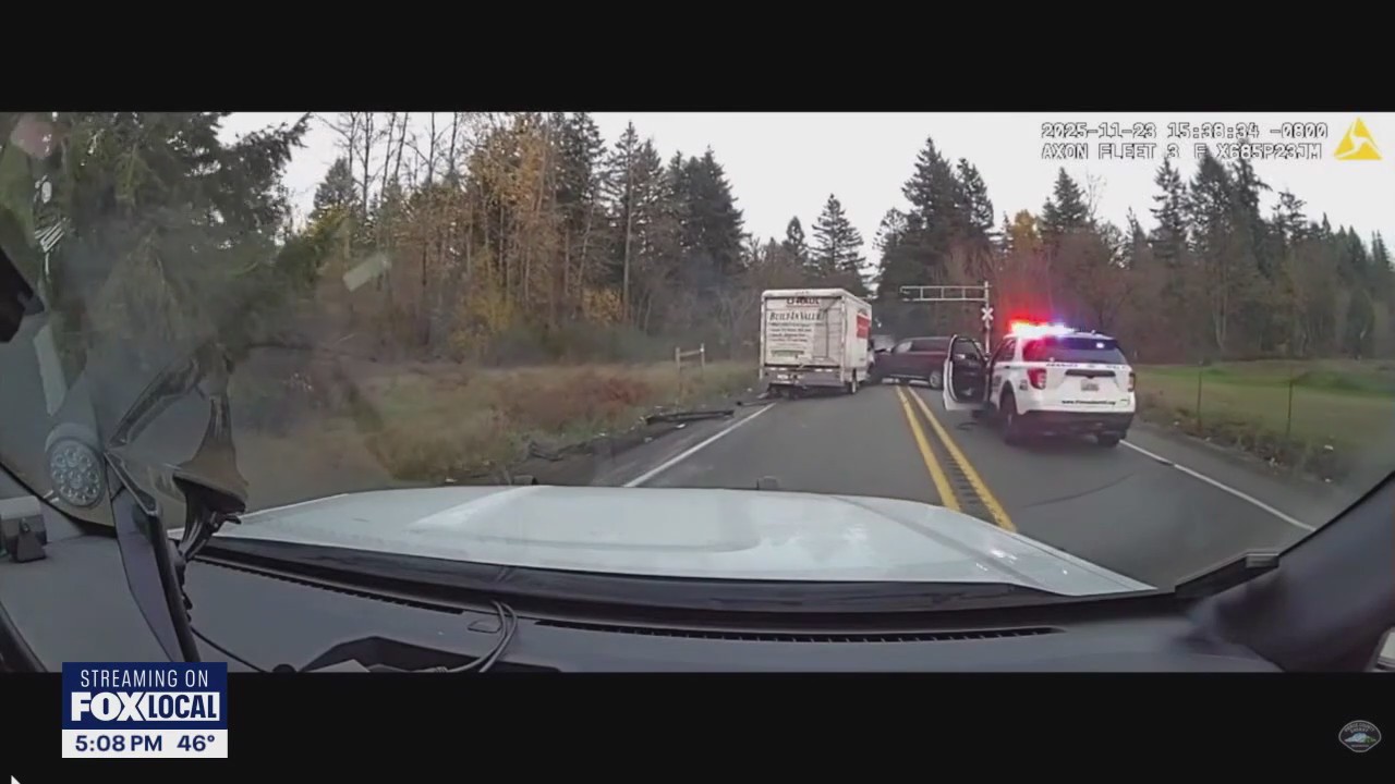 VIDEO: Suspect arrested after grocery store stabbing, police pursuit