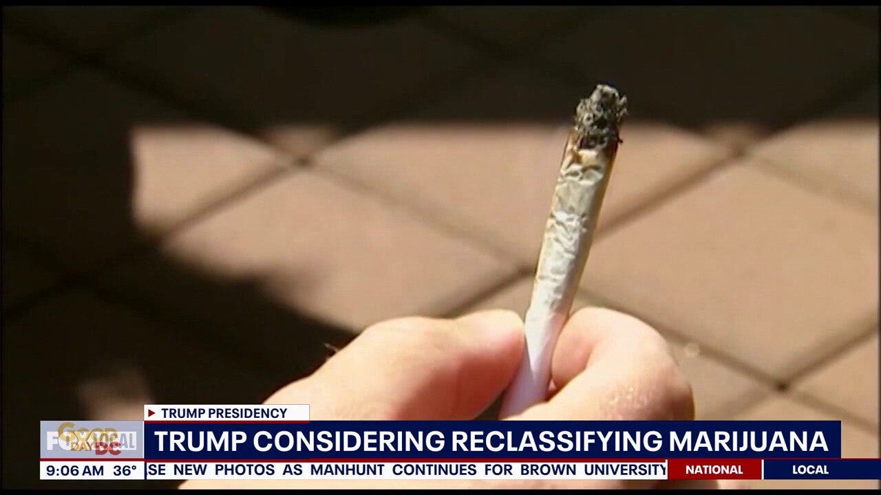 Trump considering reclassifying marijuana