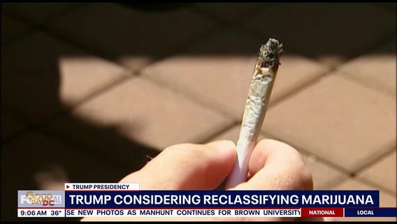 Trump considering reclassifying marijuana