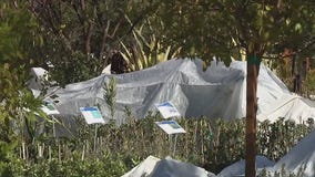 Freeze warning brings cold temperatures to the Valley