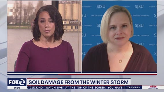 Impacts on soil from rain storm