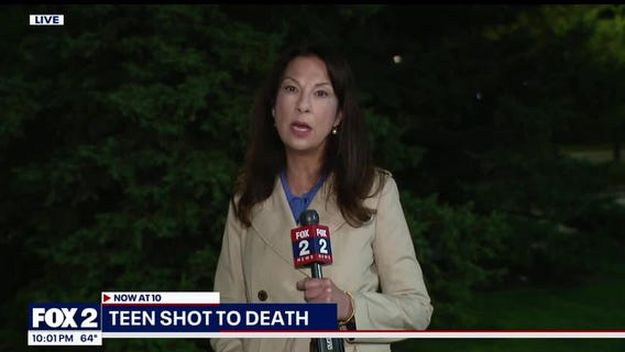 Car fire in Green Oak Township; Teen shot to death; The weather and more