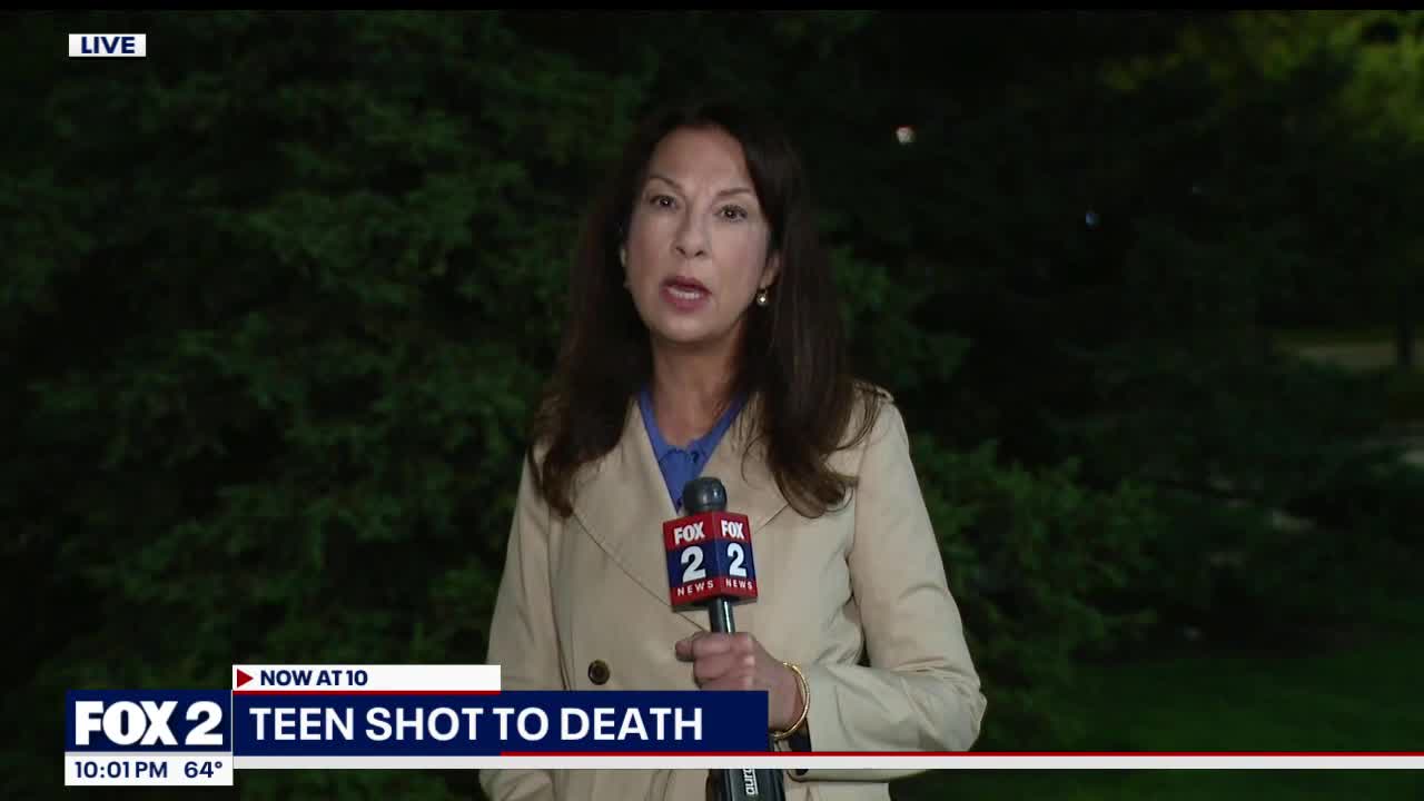 Car fire in Green Oak Township; Teen shot to death; The weather and more