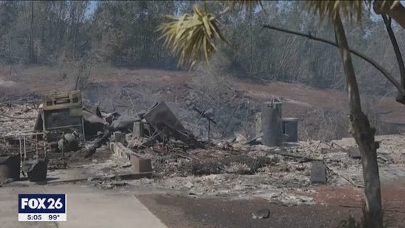 Maui wildfires have killed dozens