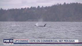 Upcoming vote on net pen ban in WA