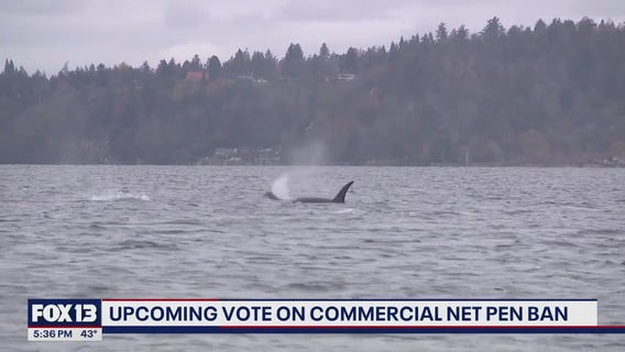 Upcoming vote on net pen ban in WA