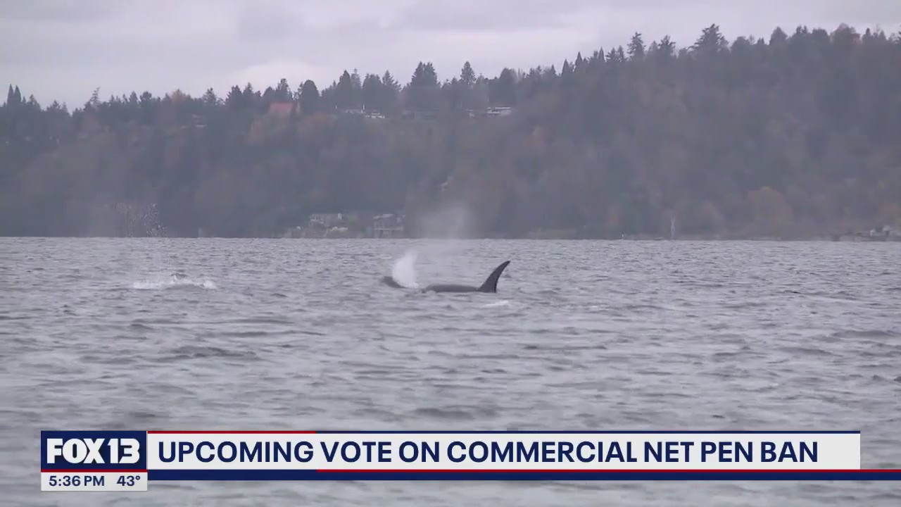 Upcoming vote on net pen ban in WA