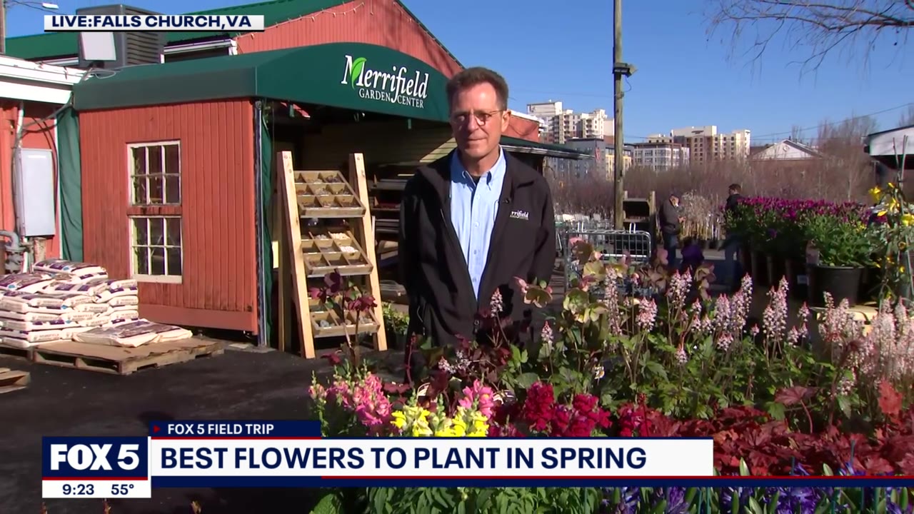 Perfect Spring flowers