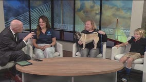 Giving Tuesday with Frankie's Friends