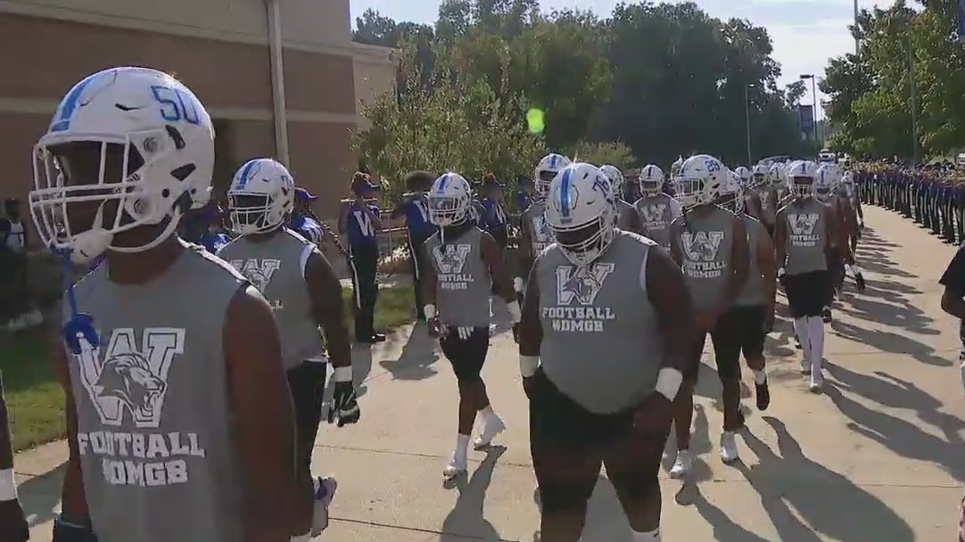 Game of the Week - The Lion Walk