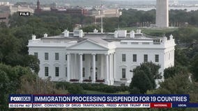Trump administration halts immigration for 19 countries