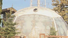 What to do at Lake Lawn Resort in Delavan