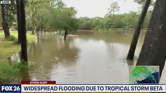 Live report from Dickinson Bayou near the Gulf Freeway (I-45)