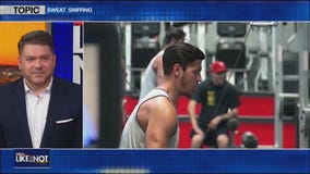 Sweat sniffing - Like It or Not?