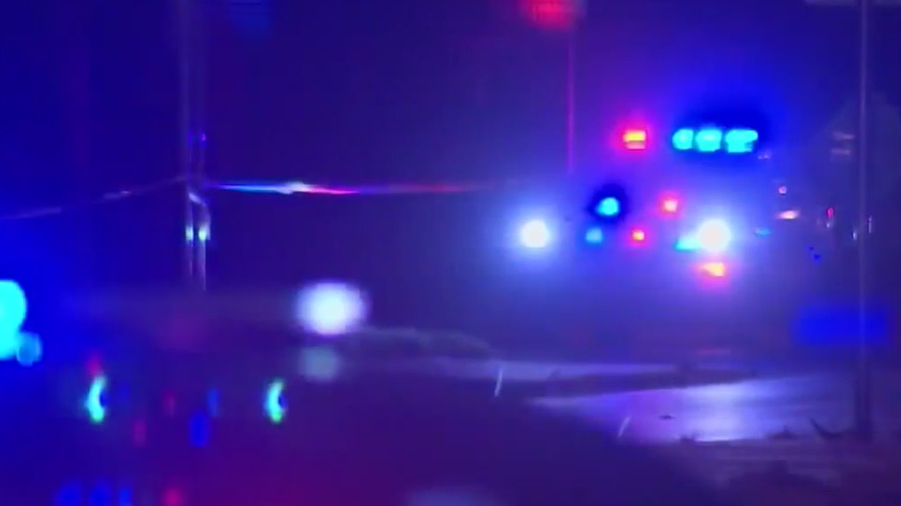 Teen found shot to death at Detroit park