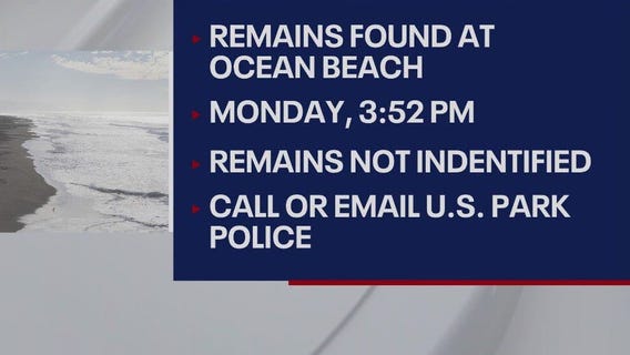 Remains found at Ocean Beach