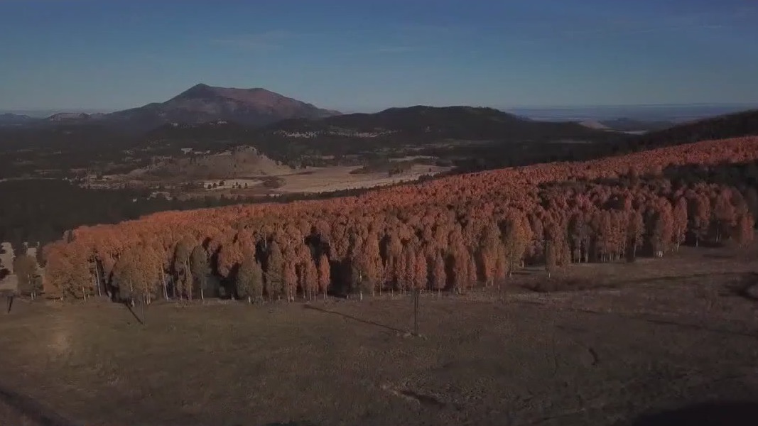 Arizona celebrates 112 years of statehood