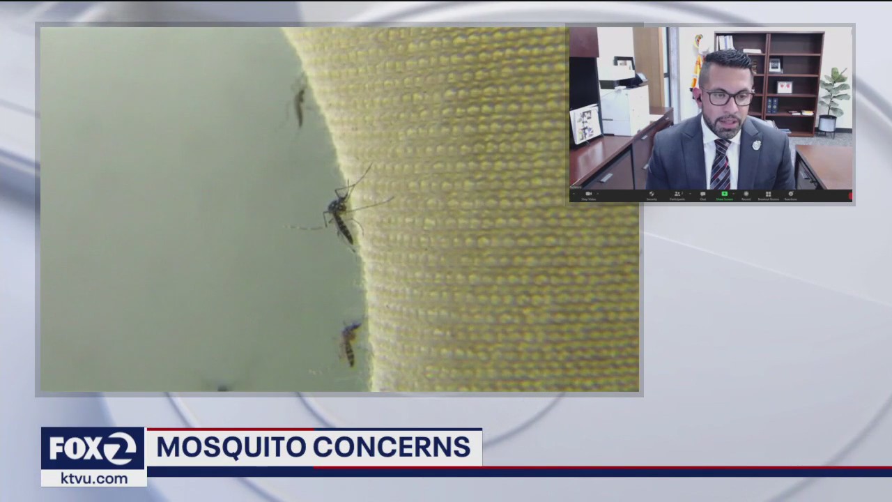 Santa Clara County Invasive Mosquitoes