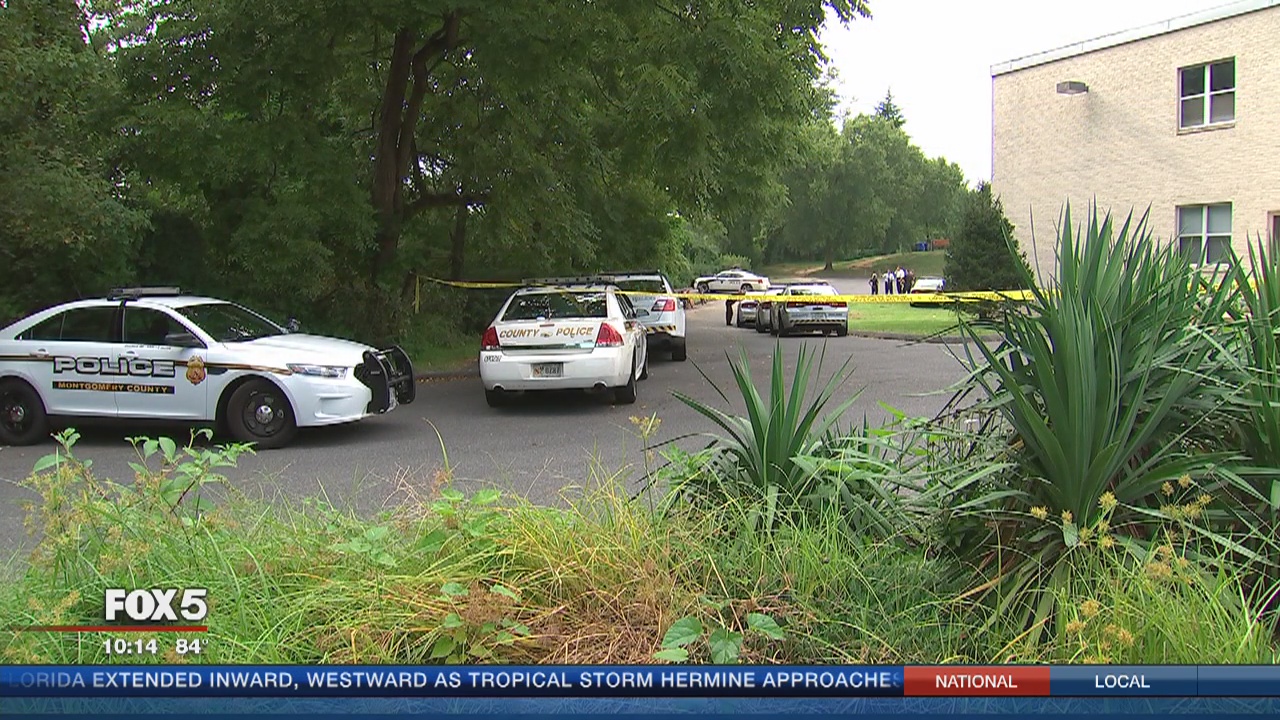 Pregnant woman stabbed; suspect in custody | FOX 5 DC