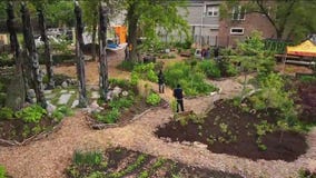 Urban farming at CCA Academy tackles food insecurity