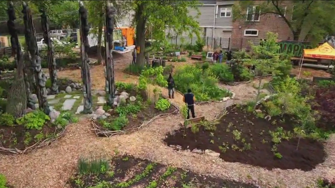 Urban farming at CCA Academy tackles food insecurity