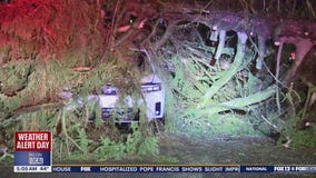 Tracking WA storm damage, power outages