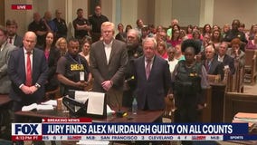 Murdaugh murder trial: Guilty verdict delivered, expert weighs in on sentencing