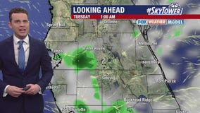 Tampa Weather | Warming up, daily rain possible