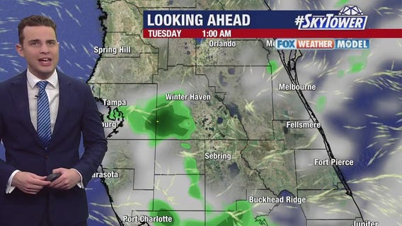 Tampa Weather | Warming up, daily rain possible