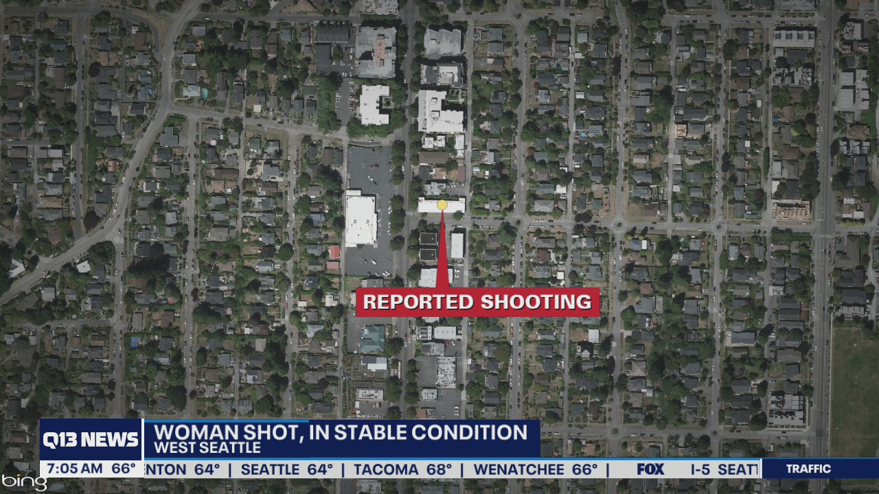 Man's mother hit by bullet intended for him during dispute, Seattle Police say