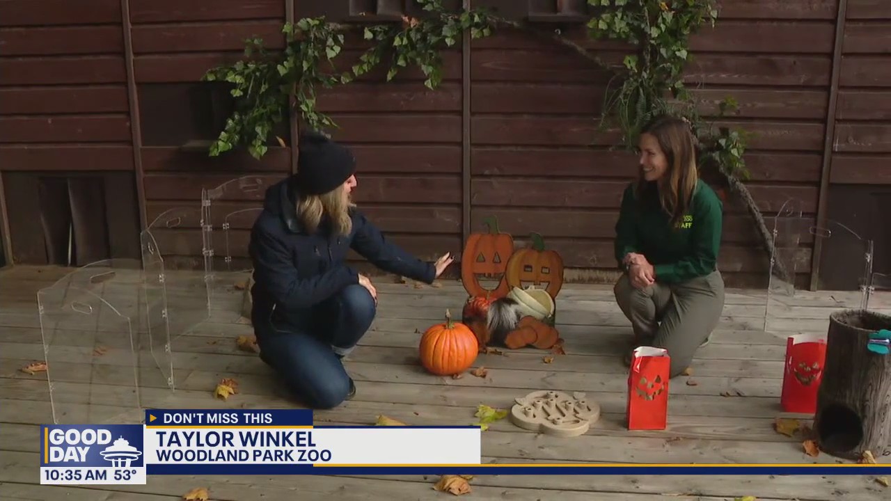 Previewing Woodland Park Zoo's Pumpkin Bash event