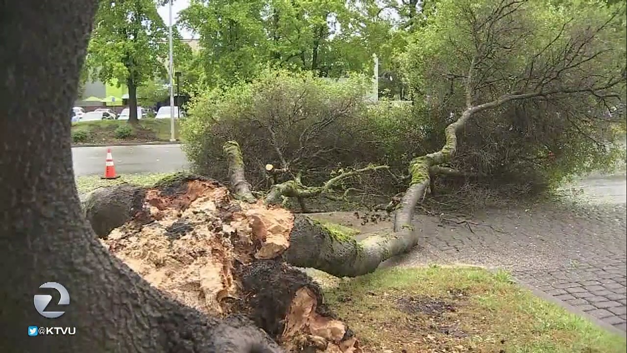Spring rain forces some events to be cancelled in the North Bay