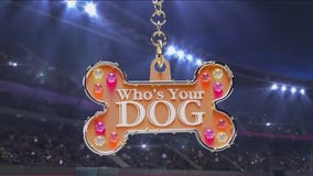 Dogs of the Game for Bears vs. Packers | After the Whistle