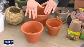 Finding the perfect pot for the perfect plant