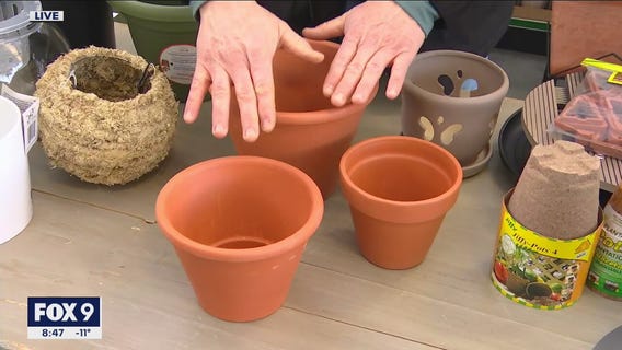 Finding the perfect pot for the perfect plant
