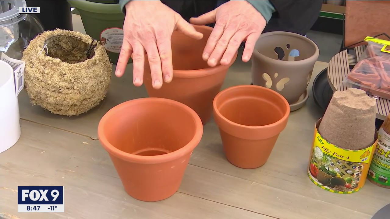 Finding the perfect pot for the perfect plant