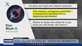 Elon Musk bashes Trump after leaving White House