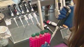 Researchers working on fentanyl vaccine as drug overdoses spike