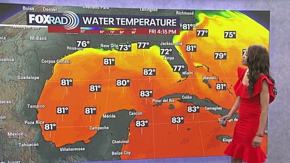 Tropical Weather Forecast - November 14, 2025