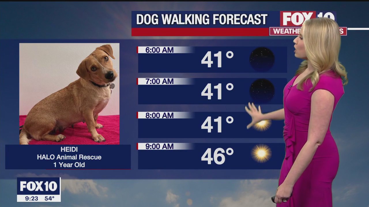 Evening Weather Forecast - 1/28/23