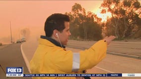 Live report: Major fire breaks out in Malibu, CA