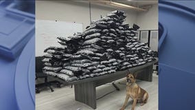 Blue Island K9 is one very good boy