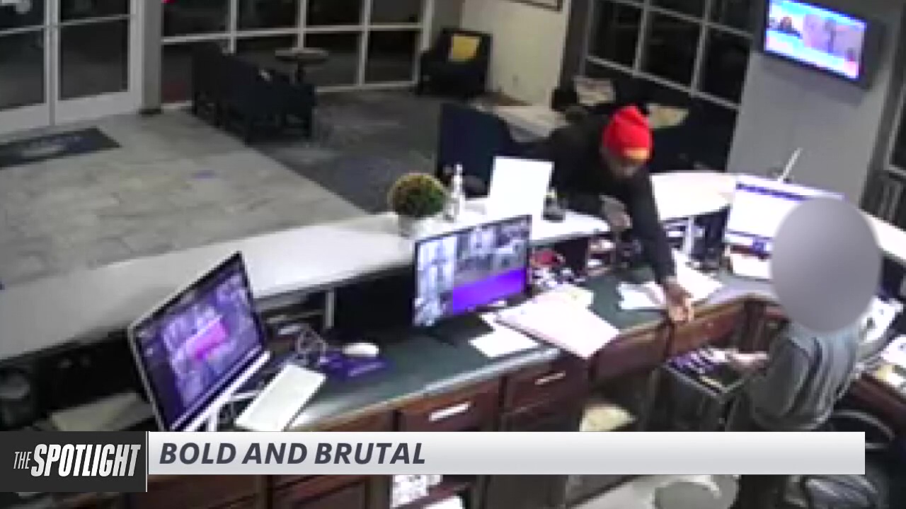 The Spotlight: Bold and brutal