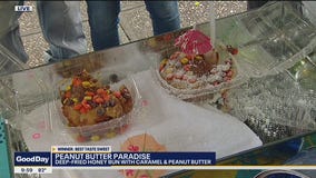 Tasting Peanut Butter Paradise from the State Fair of Texas