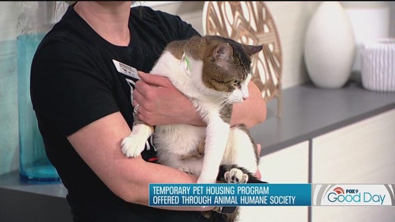 FOX 9 Good Day: April 17, 2025