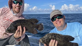 Look out for triple tail near those stone crab traps